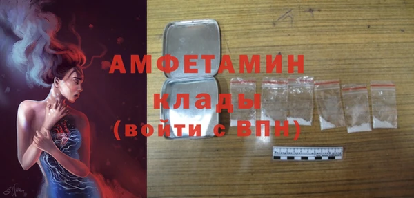 амф Алексин