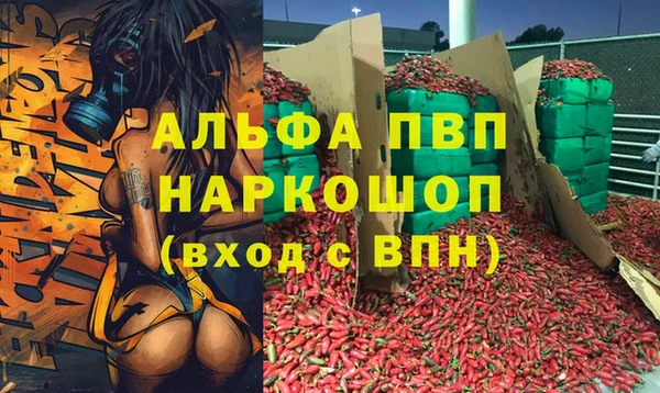 МДПВ Новодвинск