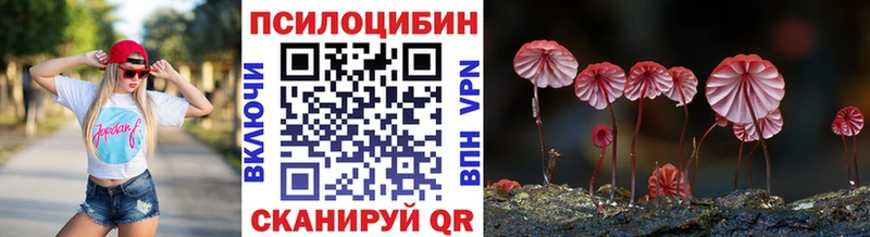 Галлюциногенные грибы Psilocybe  мориарти как зайти  Яхрома 